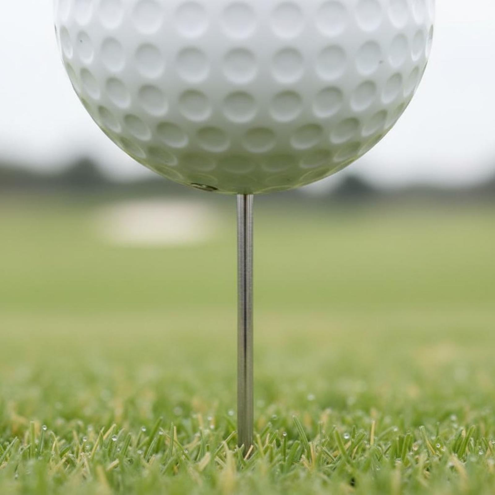 Course Teeing Starter Golf Bal - Golf Tees review and price